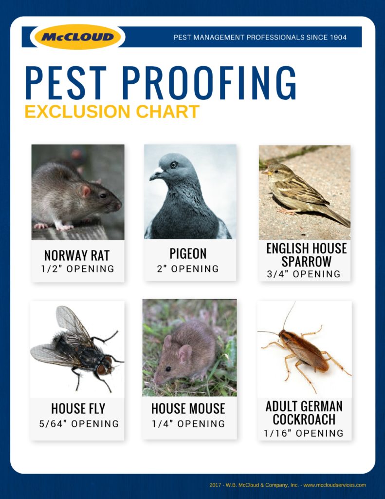 Pest Proofing Your Building Inside and Out McCloud Services