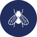 Fly Management and Control icon mccloud