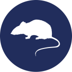 Rodent Control Icon