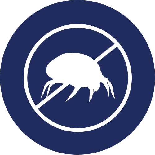 Bug Icon