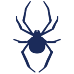 Spider_Icon_Blue