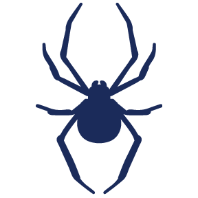 Spider_Icon_Blue