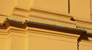 Bird spikes on building