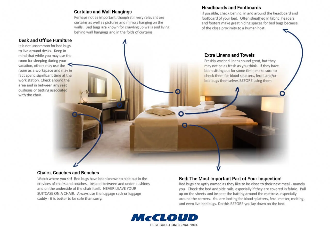 Infographic displaying common spots for bed bugs in hotel rooms - McCloud Services