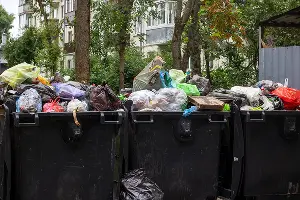 Dumpsters filled with trash outside of a Nashville business. Protect yourself from filth flies with these tips from McCloud Services.