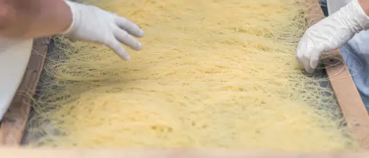 pasta production at a food processing facility in Illinois protected by McCloud Pest Solutions