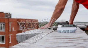 Man installing Bird spikes on a rooftop
