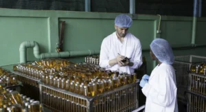 Two workers in a bottle factory