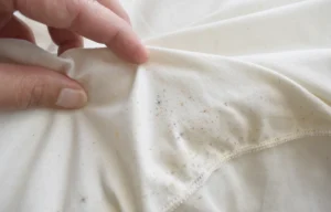 Bud bug stains on pillow