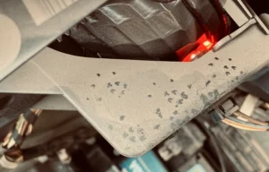 Mouse tracks on car